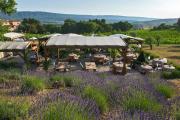 Coquillade Provence