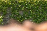 Albergo Diffuso Ca' Spiga