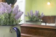 Albergo Diffuso Ca' Spiga