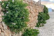 Agroturismo Llucasaldent Gran Menorca - Adults Only
