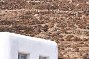 Radisson Blu Euphoria Resort, Mykonos