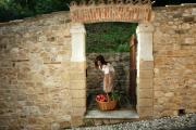 Albergo Al Sole