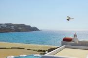 Aegon Mykonos, Autograph Collection