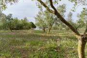 Agroturismo Malbuger Nou Menorca -Adults only-