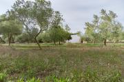 Agroturismo Malbuger Nou Menorca -Adults only-