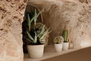 Boutique Hotel Sant Roc & Spa