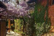 Mulino dell'Abbazia Country Resort