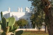 Masseria Le Torri