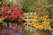 Marlfield House Hotel