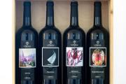 Il Roncal Wine Resort - for Wine Lovers