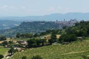 Altarocca Wine Resort Adults Only