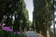 Villa Poggiano