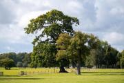New Park Manor Hotel - A Luxury Family Hotel