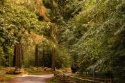 New Park Manor Hotel - A Luxury Family Hotel