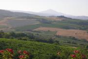 Altarocca Wine Resort Adults Only
