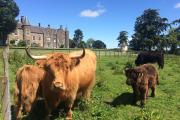Meldrum House Hotel Golf And Country Estate