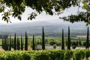 Coquillade Provence