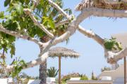Casa Vitae Suites