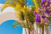 Alua Suites Fuerteventura - All Inclusive