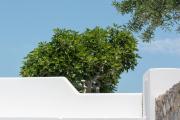 Casa Vitae Suites