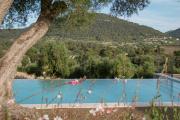 Fincahotel Treurer - Olive Grove & Grand House - Adults Only