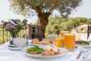 Fincahotel Treurer - Olive Grove & Grand House - Adults Only