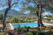 Fincahotel Treurer - Olive Grove & Grand House - Adults Only