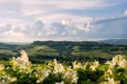 Altarocca Wine Resort Adults Only