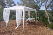 Fincahotel Treurer - Olive Grove & Grand House - Adults Only