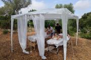 Fincahotel Treurer - Olive Grove & Grand House - Adults Only