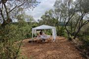 Fincahotel Treurer - Olive Grove & Grand House - Adults Only