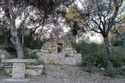 Fincahotel Treurer - Olive Grove & Grand House - Adults Only