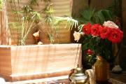 Riad Carina