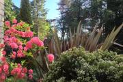 Arden Country House