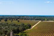 Masseria Le Fabriche