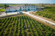 Agriturismo Baglio Donnafranca Wine Resort