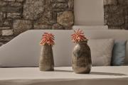 Olvos Luxury Suites Mykonos
