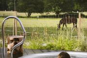 New Park Manor Hotel - A Luxury Family Hotel