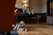 New Park Manor Hotel - A Luxury Family Hotel