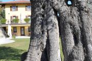 Il Roncal Wine Resort - for Wine Lovers