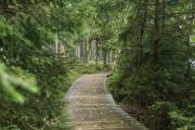 Falkensteiner Spa Resort Marianske Lazne