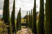 Coquillade Provence