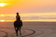 Mazagan Beach & Golf Resort