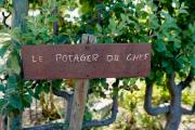 Coquillade Provence