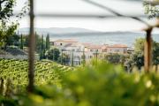 Coquillade Provence