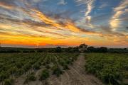 Agriturismo Baglio Donnafranca Wine Resort