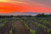 Agriturismo Baglio Donnafranca Wine Resort
