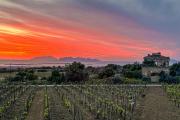 Agriturismo Baglio Donnafranca Wine Resort