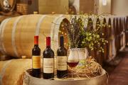 Agriturismo Baglio Donnafranca Wine Resort
