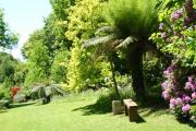 Budock Vean Hotel
